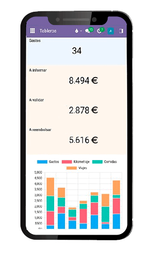 Vista móvil ODOO